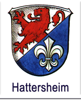 Feiwillige Feuerwehr Hattersheim